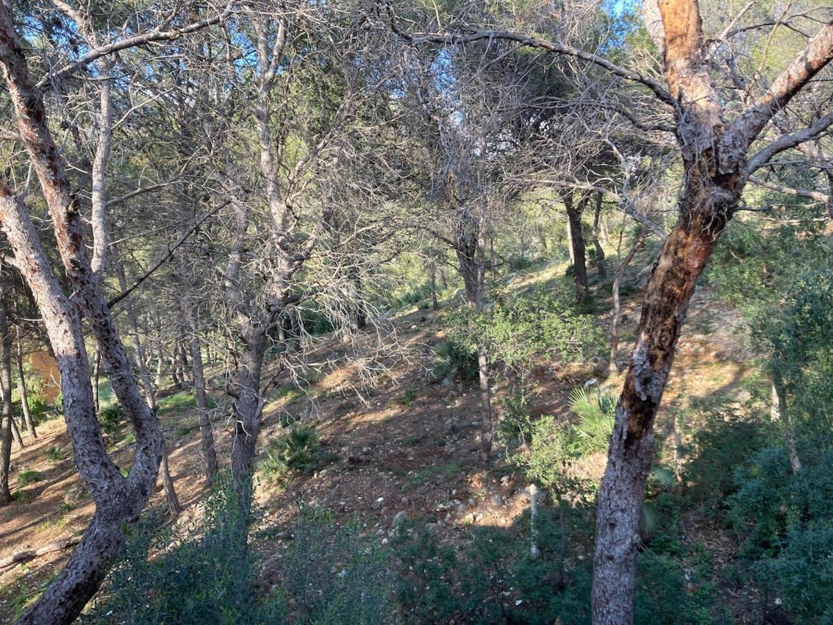 Apartamento Con Vistas Al Mar Castelldefels Esterno foto